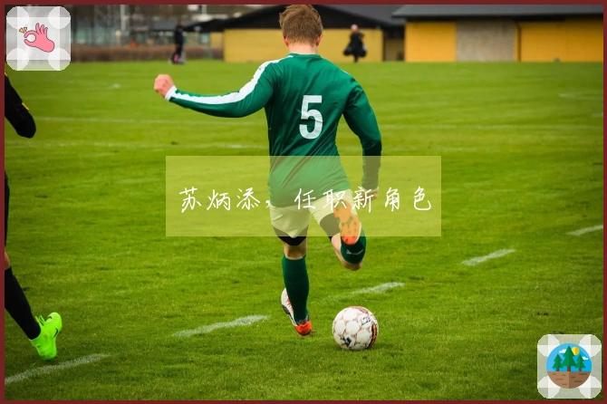 苏炳添，任职新角色